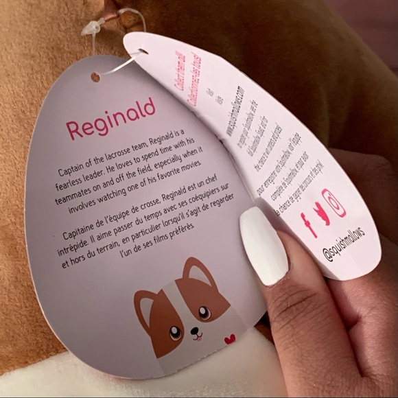 12” Reginald the Dog Squishmallow - Picture 3 of 4